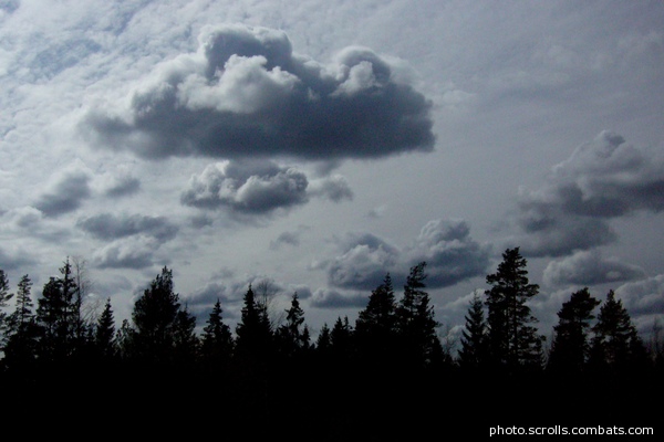 View prev photo