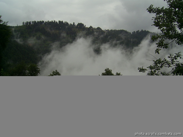 View prev photo