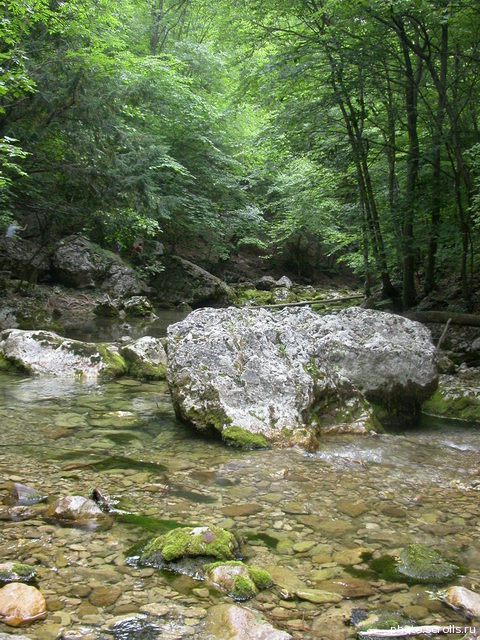 View next photo