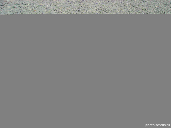 View prev photo