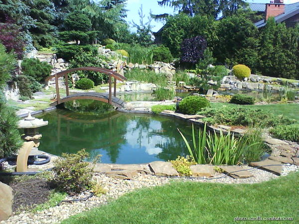 View prev photo