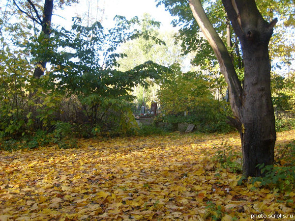 View prev photo