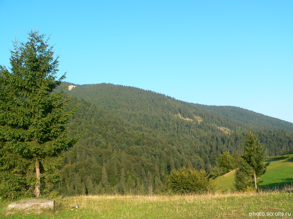 View next photo