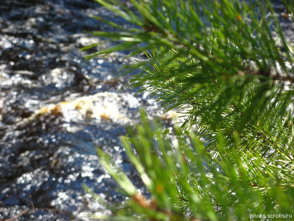 View next photo