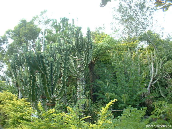 View next photo