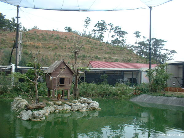 View next photo