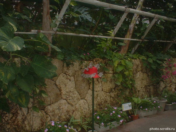 View next photo