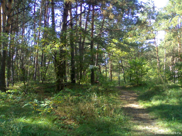 View next photo