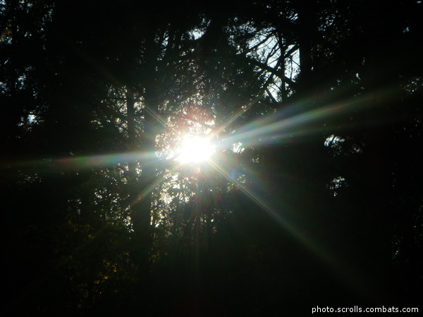 View prev photo
