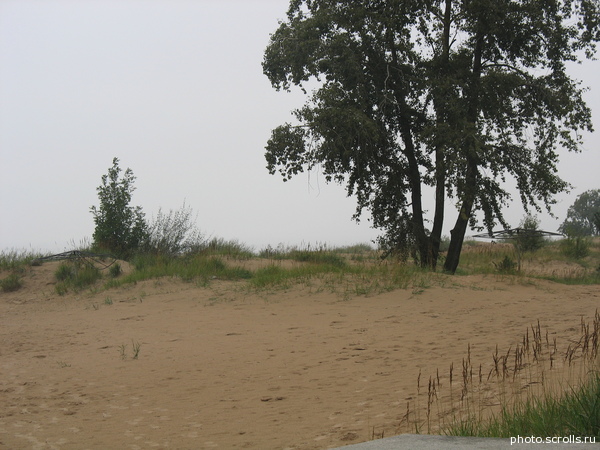 View next photo