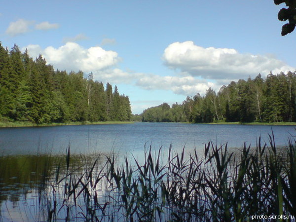 View next photo