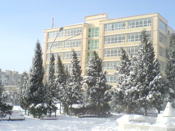 View prev photo