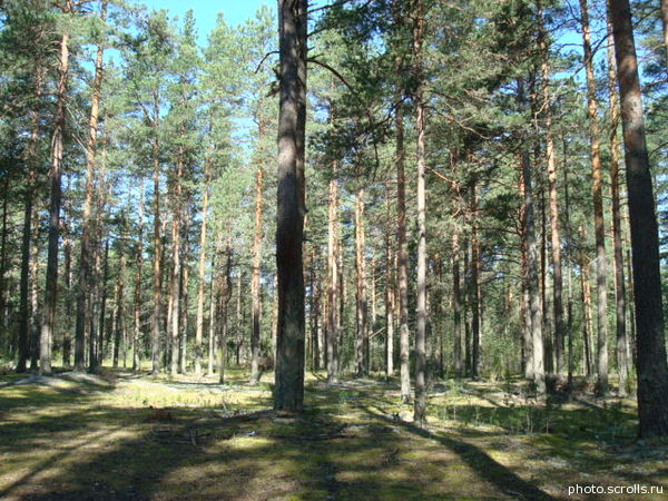 View next photo
