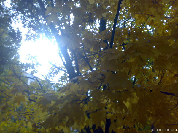 View next photo