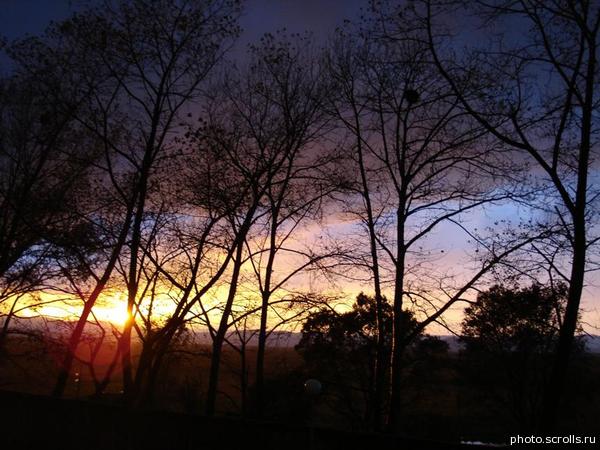 View prev photo