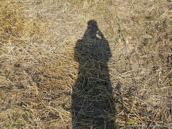 View prev photo