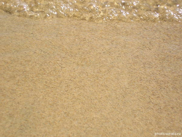 View prev photo