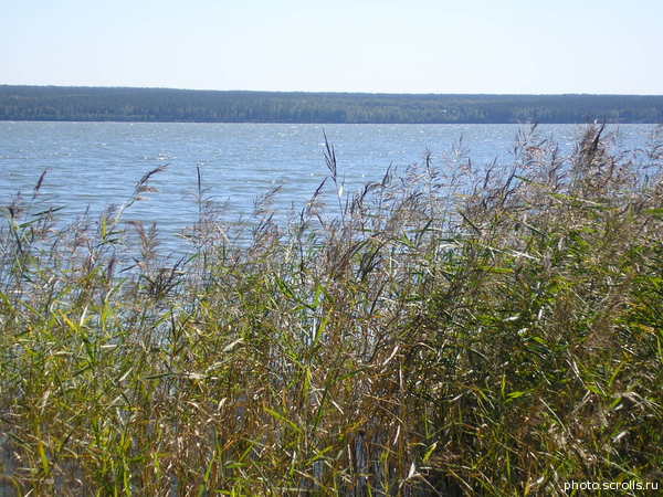 View next photo