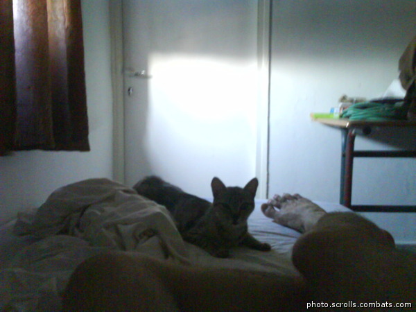 View prev photo
