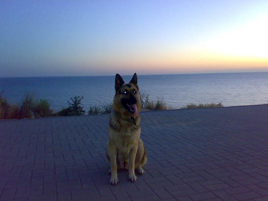 View prev photo