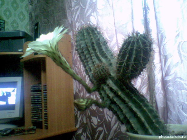 View prev photo