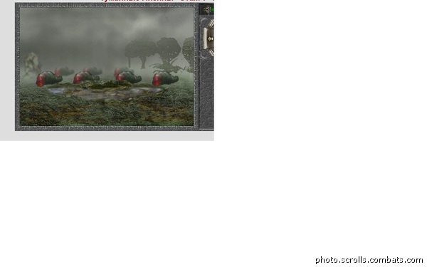 View prev photo