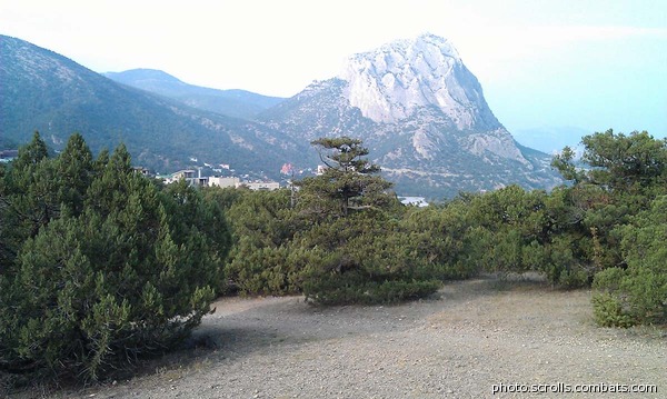 View next photo