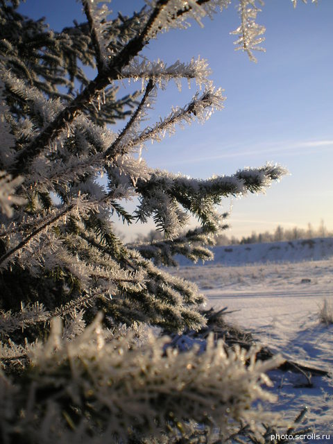 View next photo