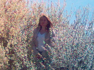 View prev photo