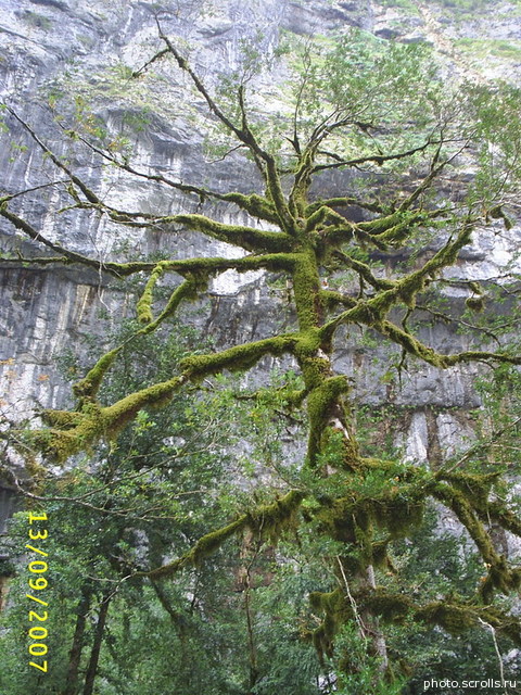 View next photo