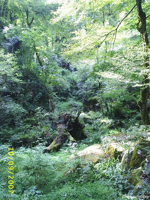View next photo