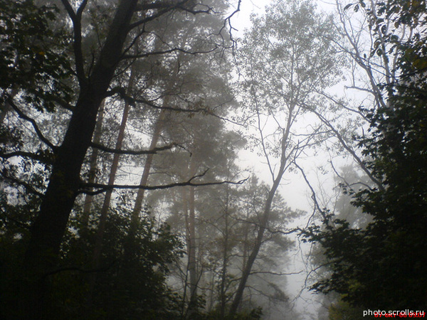 View prev photo