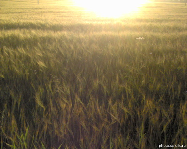 View prev photo