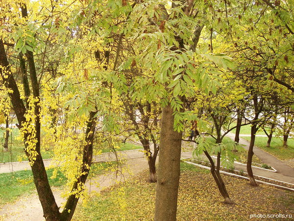 View next photo