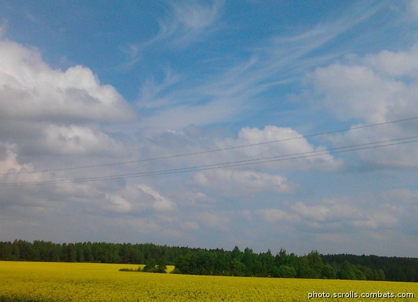 View prev photo
