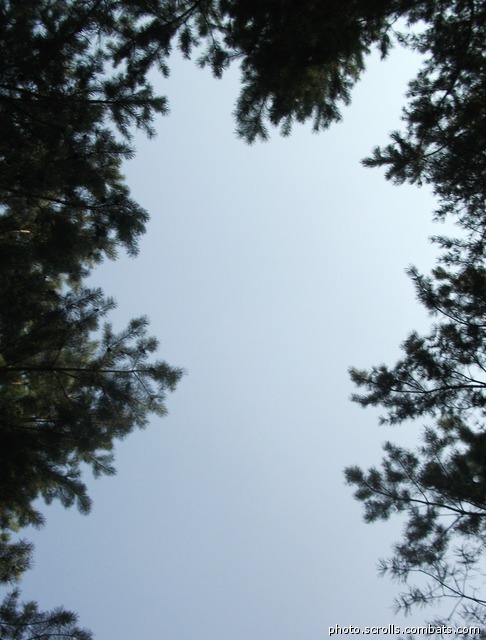 View next photo