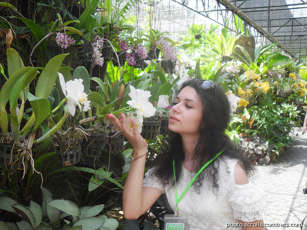 View prev photo