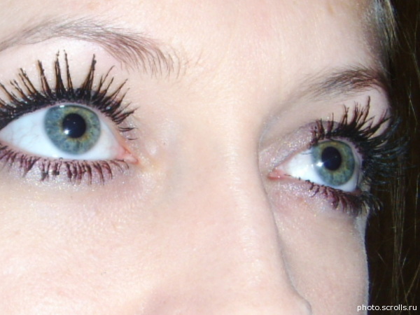 View prev photo