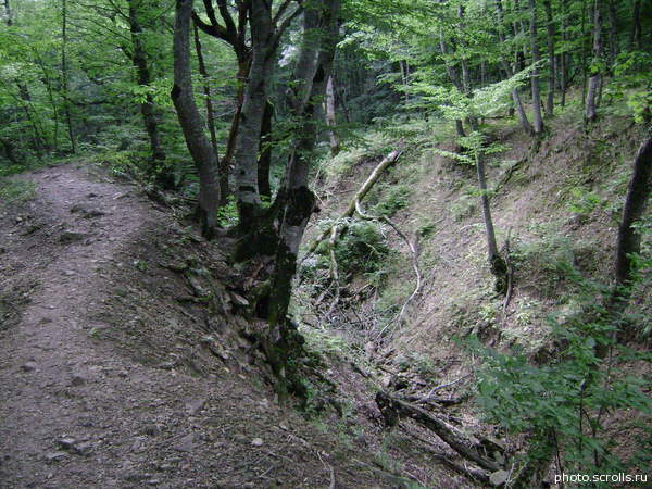 View next photo