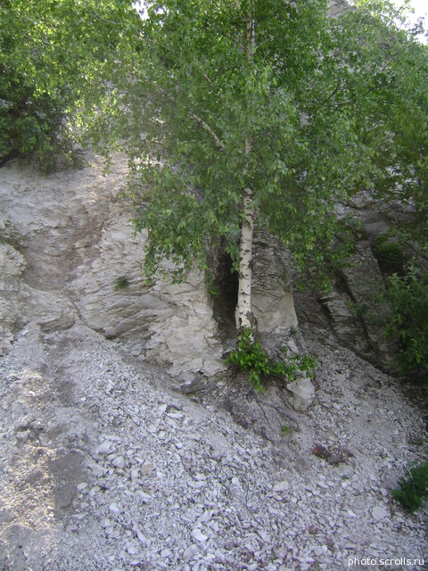 View next photo