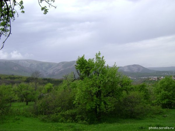 View next photo
