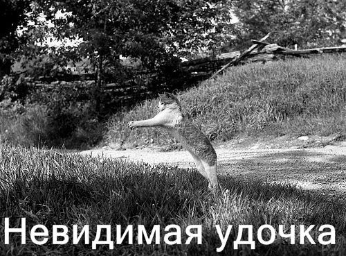 View next photo