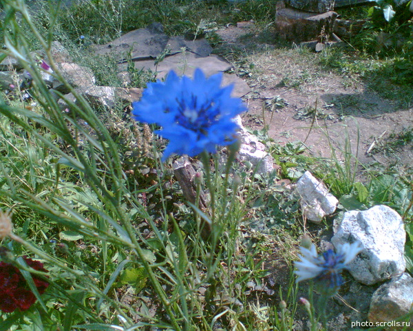 View next photo