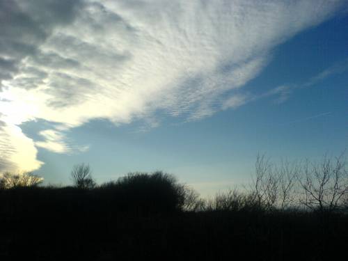 View prev photo
