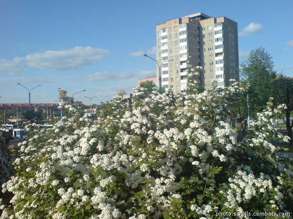 View next photo
