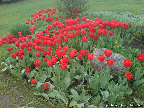 View prev photo