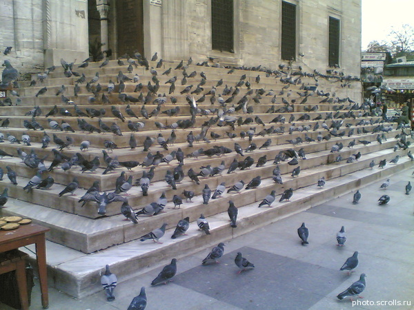 View next photo