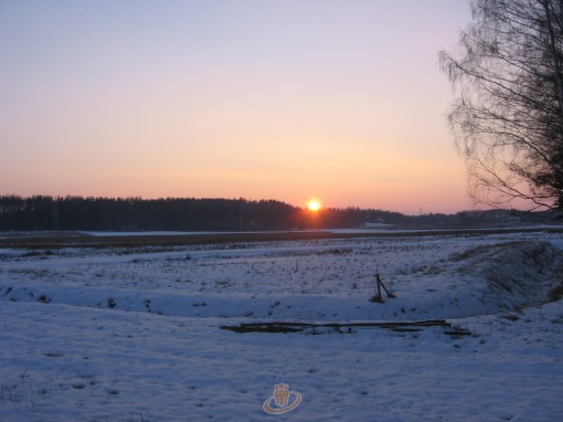 View prev photo