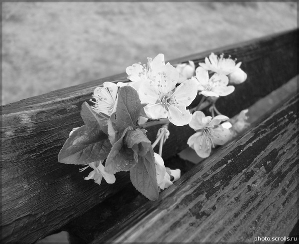 View next photo