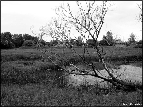 View next photo